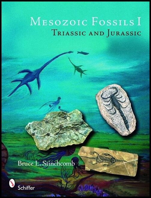 Bruce L. Stinchcomb | Mesozoic Fossils : Triassic and Jurassic