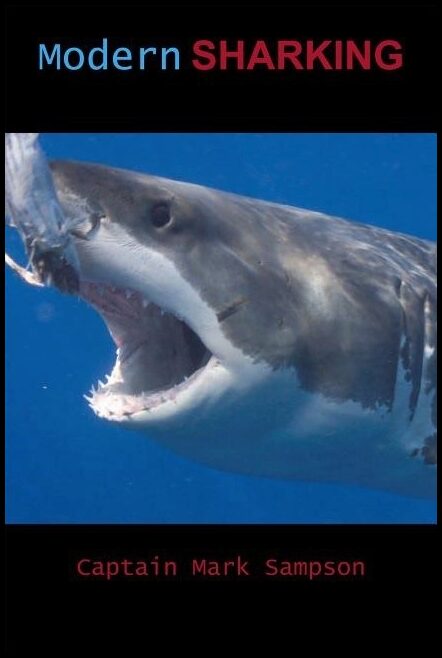 Mark Sampson | Modern Sharking