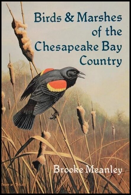 Brooke Meanley | Birds & Marshes Of The Chesapeake Bay Country