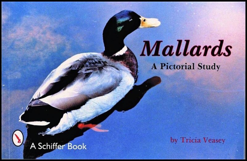 Veasey, T. | Mallards : A pictorial study