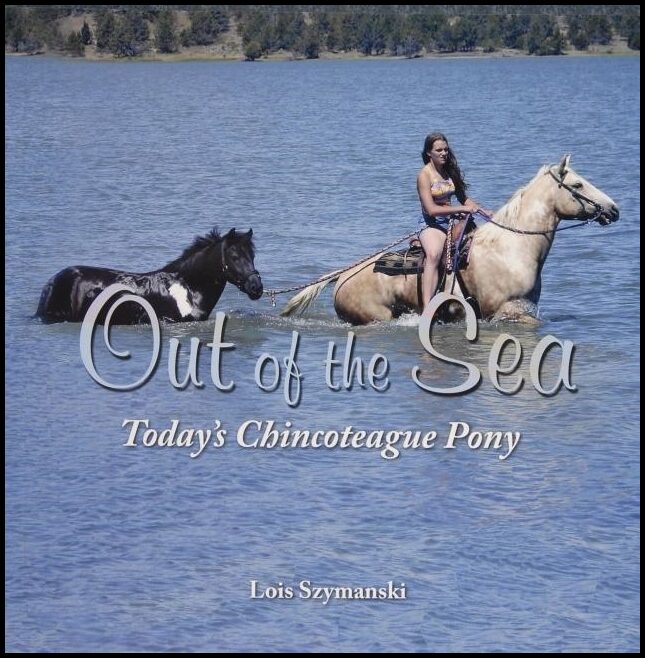 Lois Szymanski | Out Of The Sea, Today’s Chincoteague Pony
