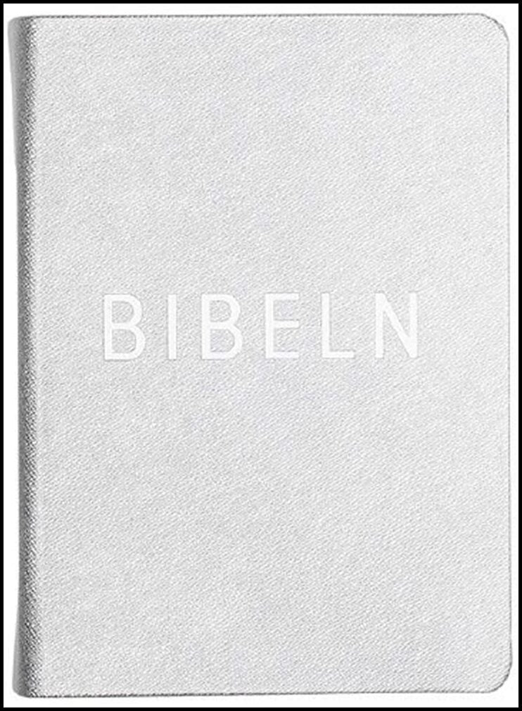 Bibel konfirmand silver