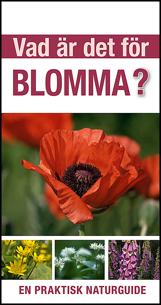 Burnie, David | Vad är det för blomma? : En praktisk naturguide