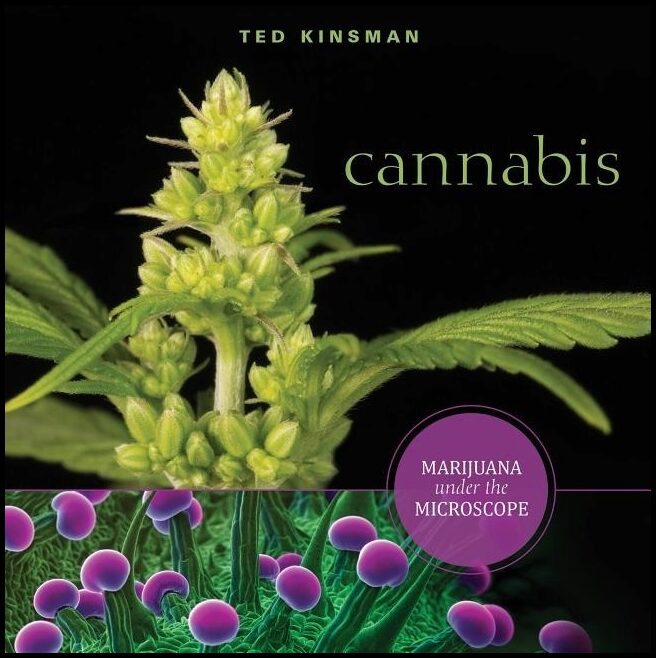 Kinsman, Ted | Cannabis : Marijuana under the microscope