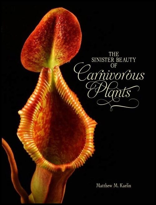 Kaelin, Matthew M. | Sinister beauty of carnivorous plants