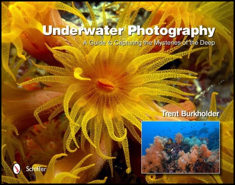 Trent Burkholder | Underwater Photography