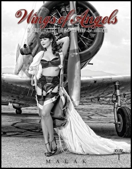 Malak, Michael | Wings of angels : A tribute to the art of world war ii pinup & aviation