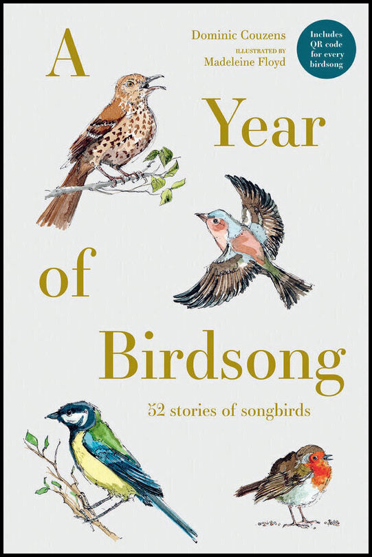 Dominic Couzens, illustrated by Madeleine Floyd | A Year of Birdsong