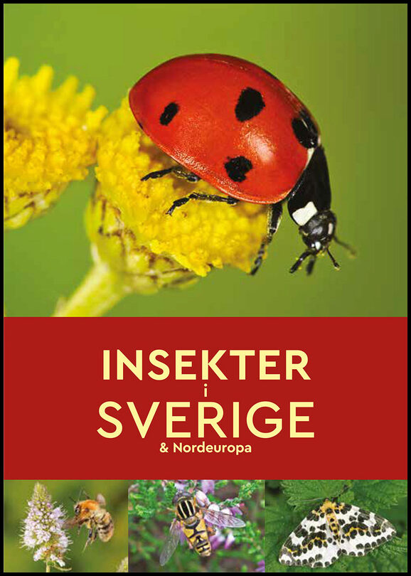 Read, Robert | Insekter i Sverige & Nordeuropa
