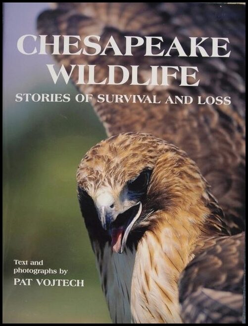 Pat Vojtech | Chesapeake Wildlife : Stories of Survival and Loss