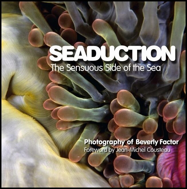 Factor, Beverly | Seaduction : The sensuous side of the sea