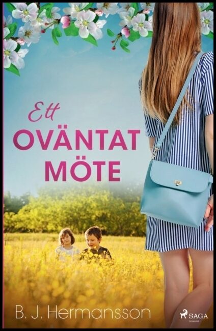Hermansson, B. J. | Ett oväntat möte