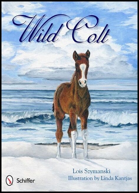 Lois Szymanski | Wild Colt