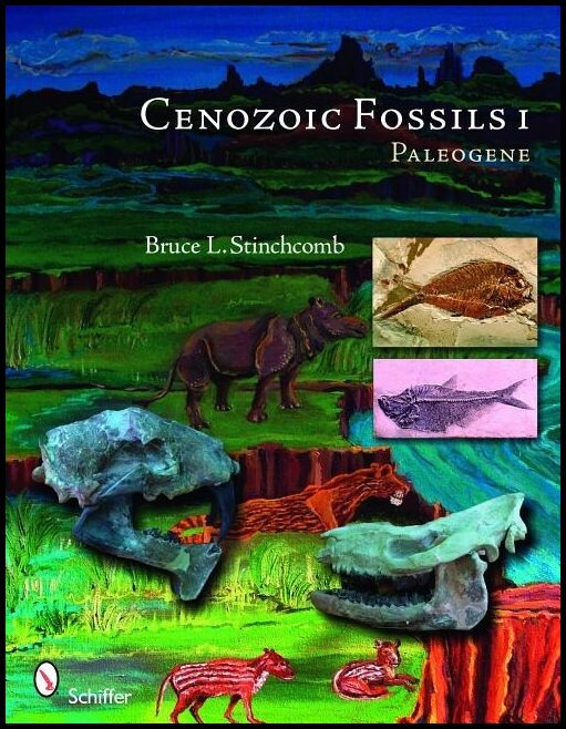 Bruce L. Stinchcomb | Cenozoic Fossils 1 : Paleogene