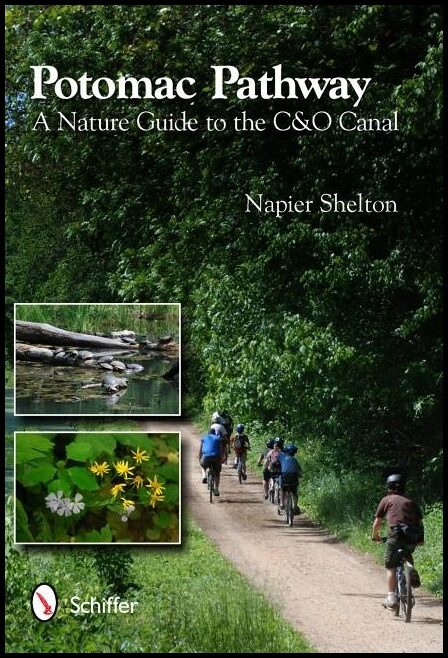 Napier Shelton | Potomac Pathway : A Nature Guide to the C & O Canal