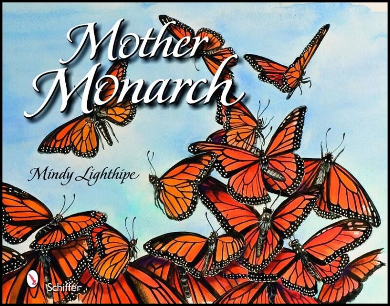 Lighthipe, Mindy | Mother monarch