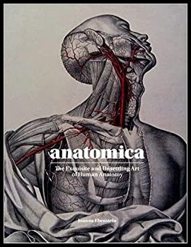 Ebenstein, Joanna | Anatomica