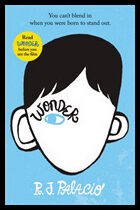 Palacio, RJ | Wonder