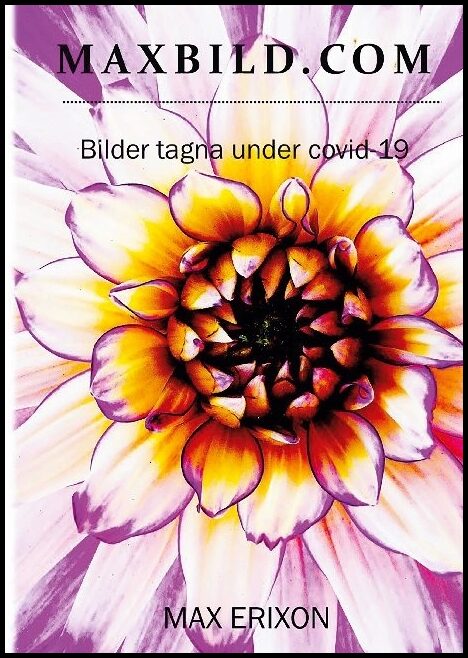Erixon, Max | MAXBILD.COM : Bilder tagna under covid-19