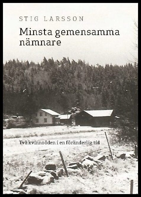 Larsson, Stig | Minsta gemensamma nämnare : Två kvinnoöden i en föränderlig tid