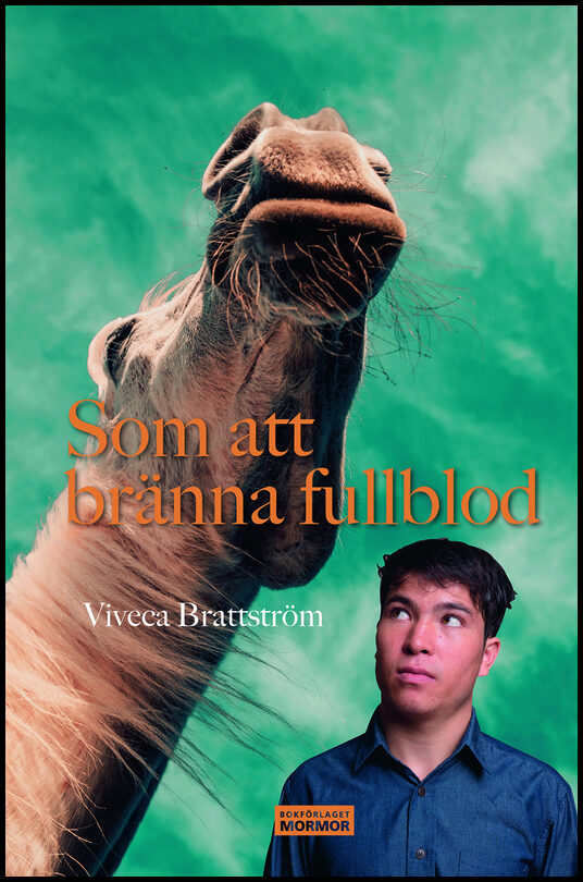 Brattström, Viveca | Som att bränna fullblod