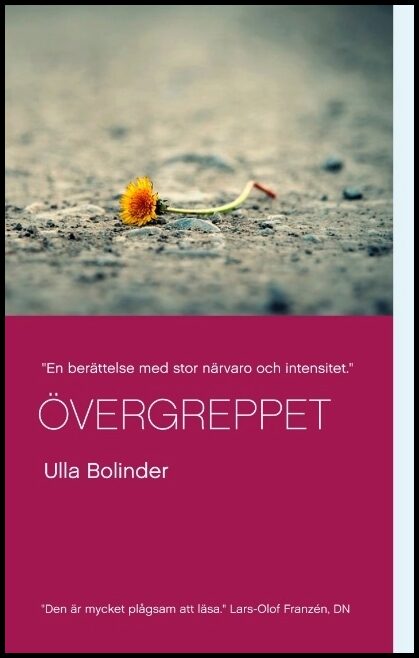 Bolinder, Ulla | Övergreppet
