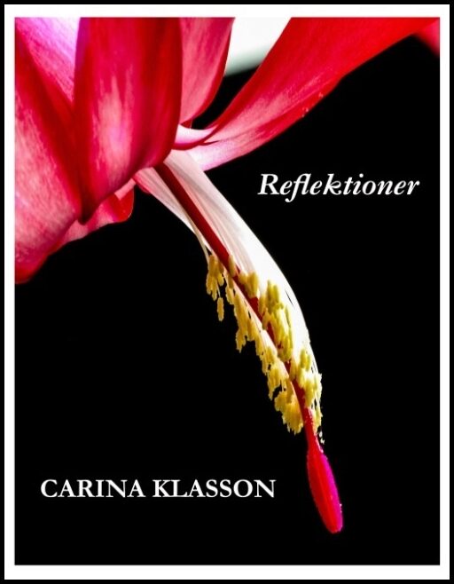 Klasson, Carina | Reflektioner