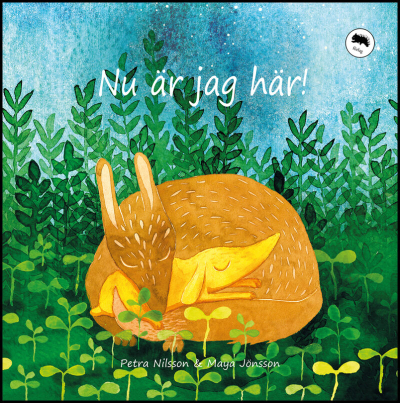 Nilsson, Petra | Nu är jag här!