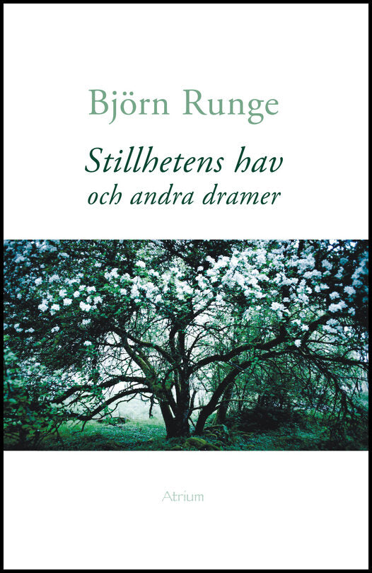 Runge, Björn | Stillhetens hav och andra dramer