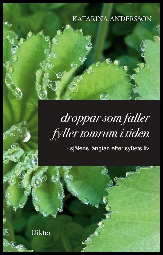 Andersson, Katarina | Droppar som faller fyller tomrum i tiden : Själens längtan efter syftets liv