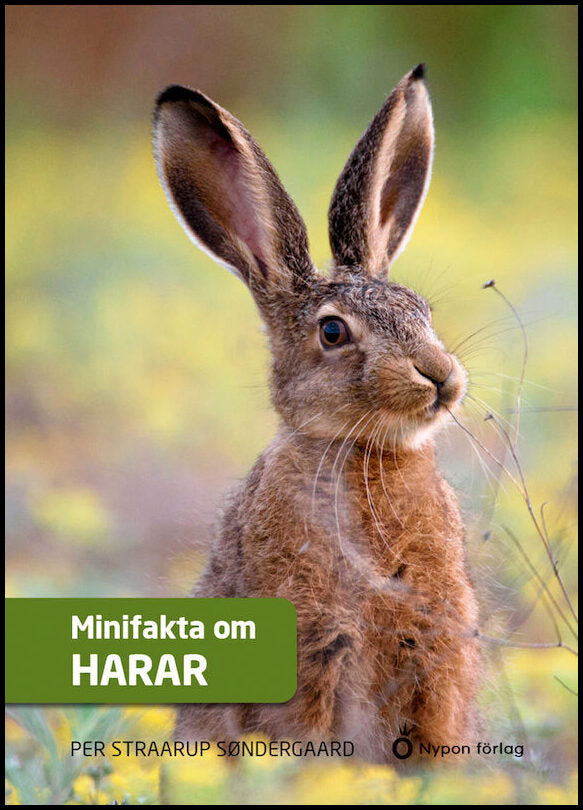 Straarup Søndergaard, Per | Minifakta om harar