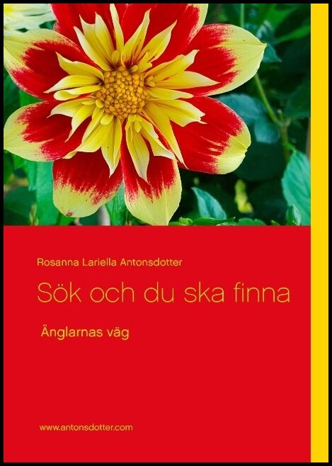 Antonsdotter, Rosanna Lariella | Sök och du ska finna : Änglarnas väg