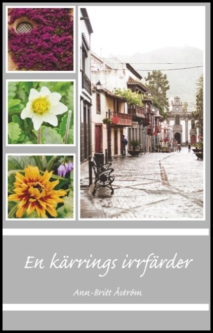 Åström, Ann-Britt | En kärrings irrfärder