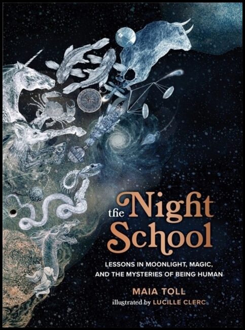 Toll, Maia | The Night School