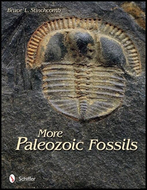 Bruce L. Stinchcomb | More Paleozoic Fossils