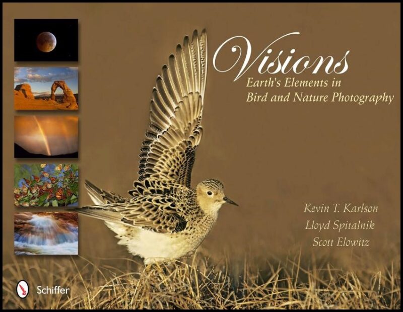 Elowitz, Scott | Visions : Earths elements in bird and nature photography