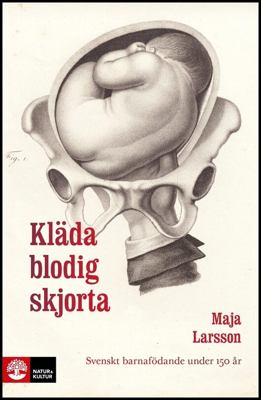 Larsson, Maja | Kläda blodig skjorta : Svenskt barnafödande under 150 år