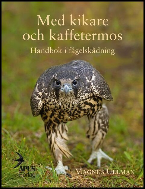 Ullman, Magnus | Med kikare och kaffetermos. Handbok i fågelskådning