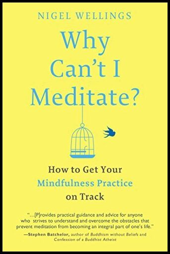 Wellings, Nigel | Why cant i meditate? : How to get your mindfulness practice on track