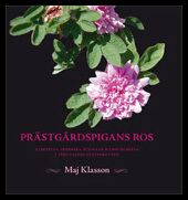 Klasson, Maj | Prästgårdspigans ros : Albertina Fredrika Burmans bildningsresa genom 1860-t