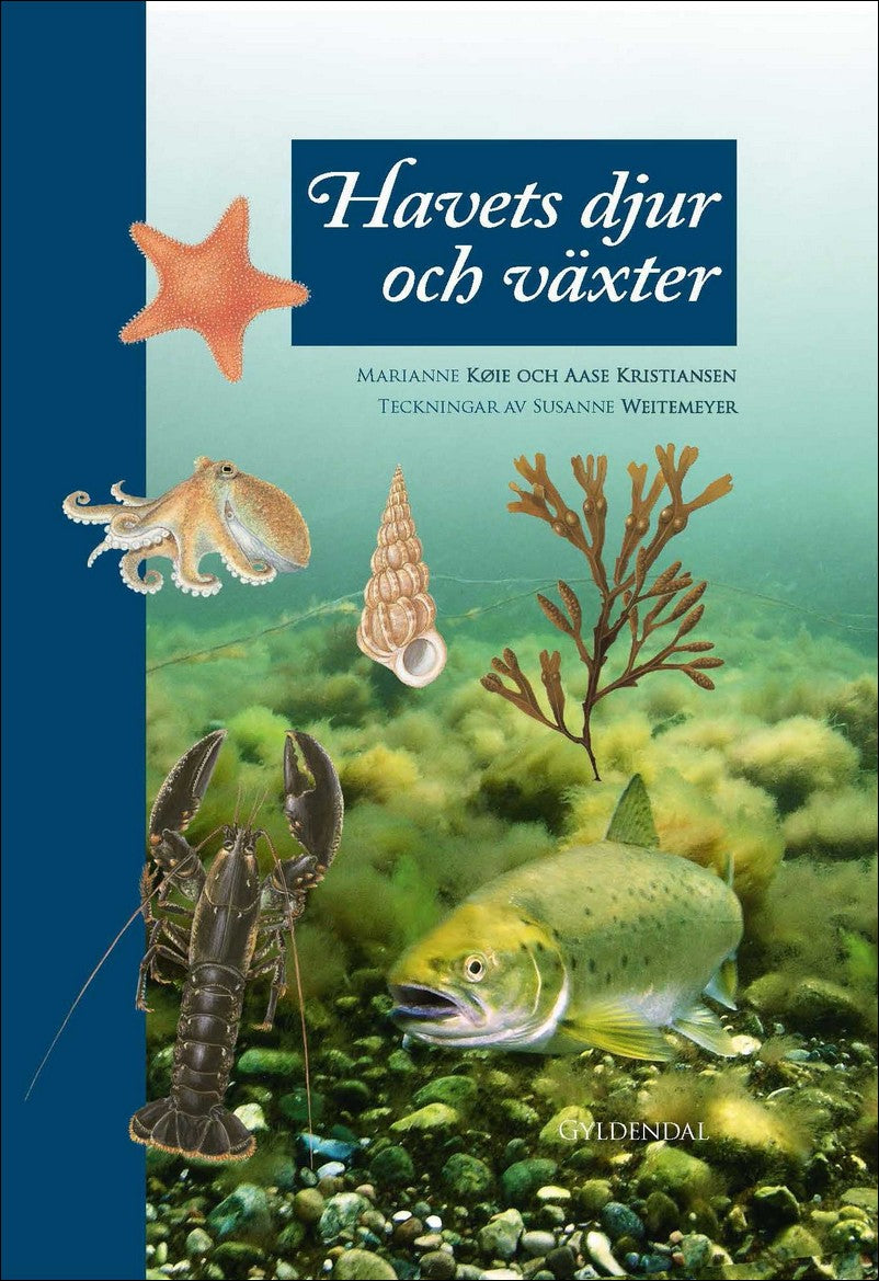 Kristiansen, Aase| Weitemeyer, Susanne | Havets djur och växter