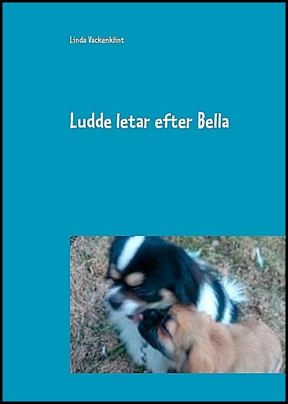 Vackenklint, Linda | Ludde letar efter Bella