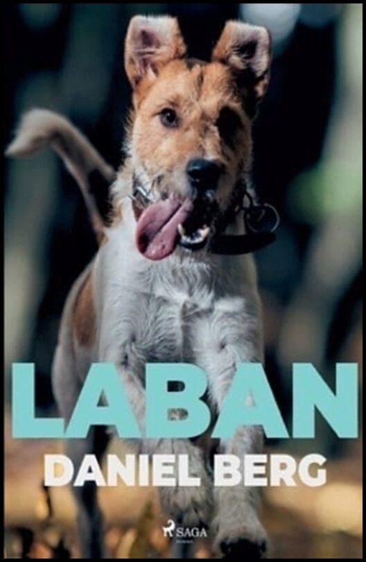 Berg, Daniel | Laban