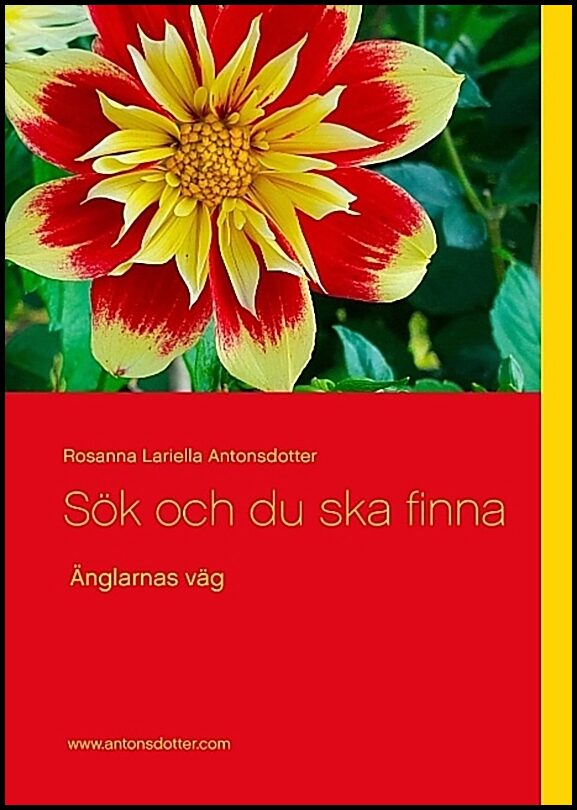 Antonsdotter, Rosanna Lariella | Sök och du ska finna : Änglarnas väg