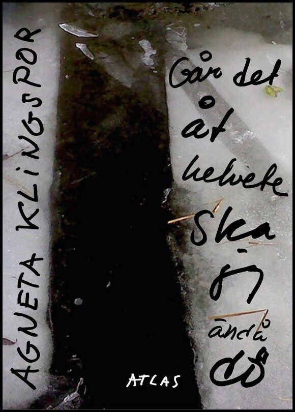 Millroth, Thomas | Beth Laurin : ett urval verk 1953-2008 : Ett urval verk 1953-2008