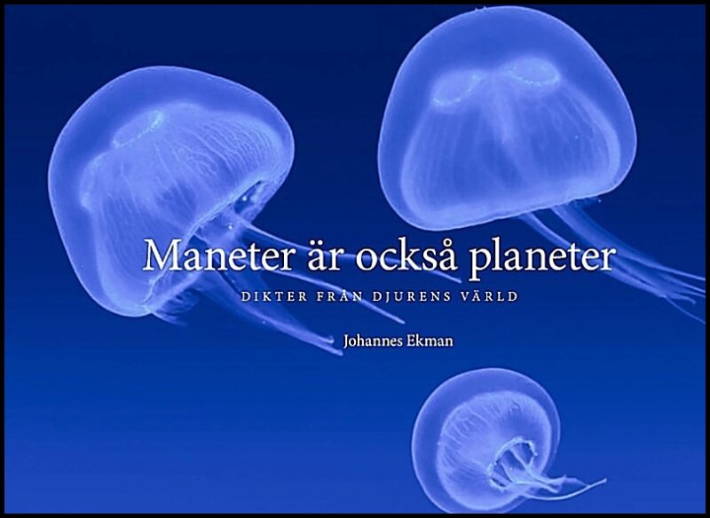 Ekman, Johannes | Maneter är också planeter : Dikter från djurens värld