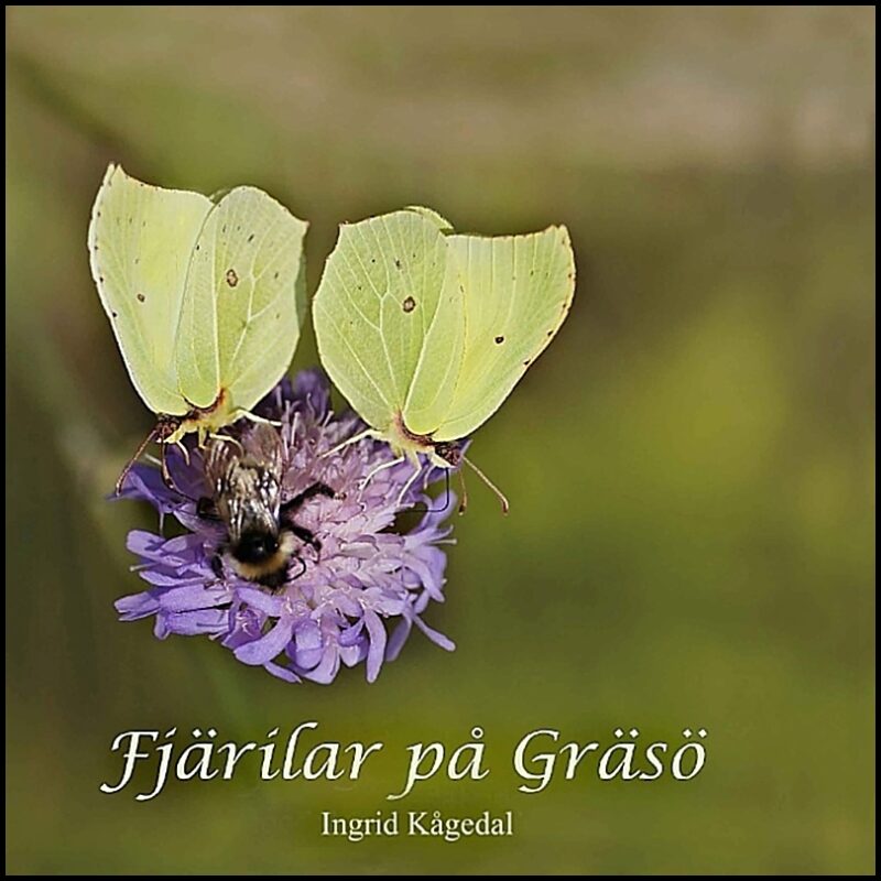 Kågedal, Ingrid | Fjärilar på Gräsö : En inventering av dagfjärilar med kamerans hjälp