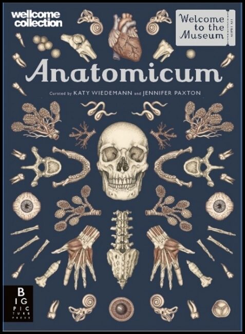 Paxton, Jennifer | Anatomicum