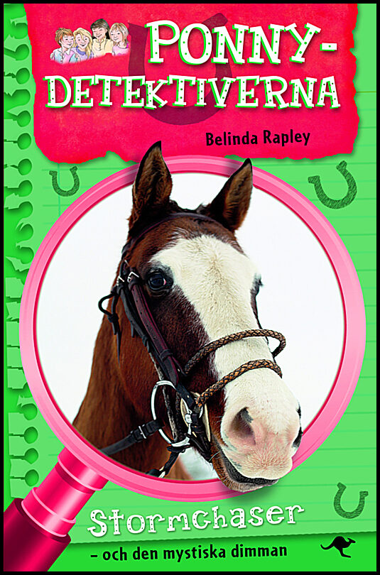 Rapley, Belinda | Ponnydetektiverna. Stormchaser : Och den mystiska dimman