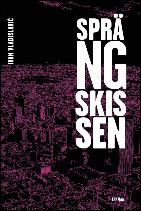 Vladislavic, Ivan | Sprängskissen